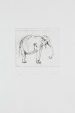 Hans Scheib, Elefant